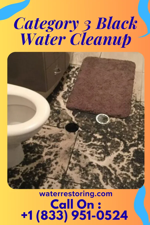 Category 3 Black Water Cleanup in Boxholm, IA
